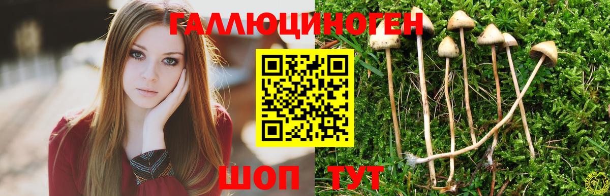 Крымск  Псилоцибиновые грибы ЛСД  Галлюциногенные грибы Psilocybe  Вход с VPN 